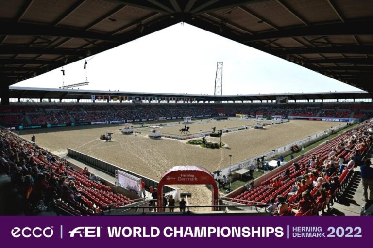 0d936a39-fb42-6233-3cc4-0c1cc49b1704