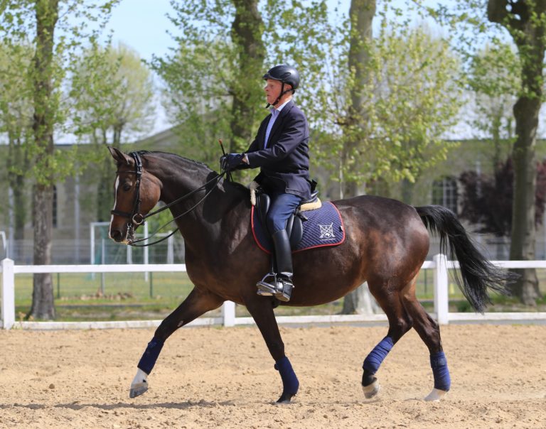 1 CARDE OPENER copy 2