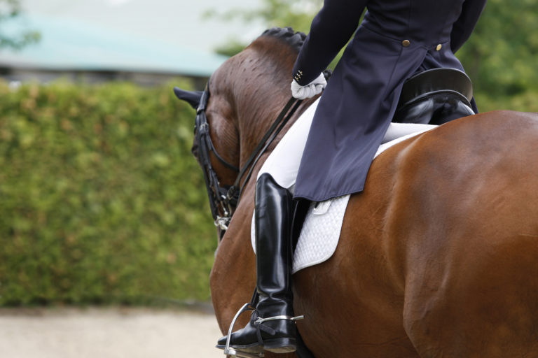 24 dressage training tips