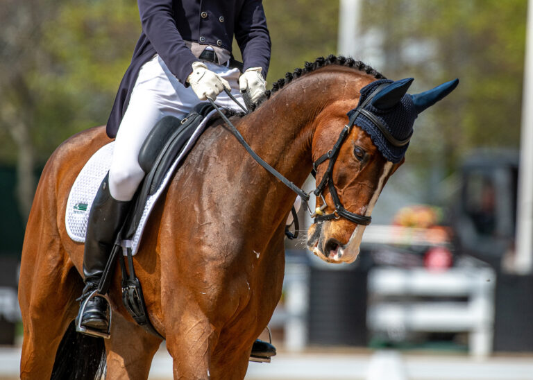 BAYMAXColin GaffneyUSA