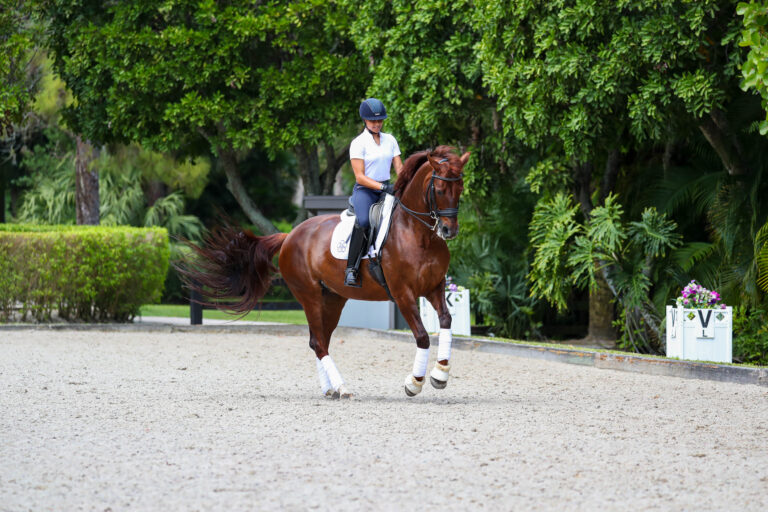 AnnAMagicSquare_Thumbnail2