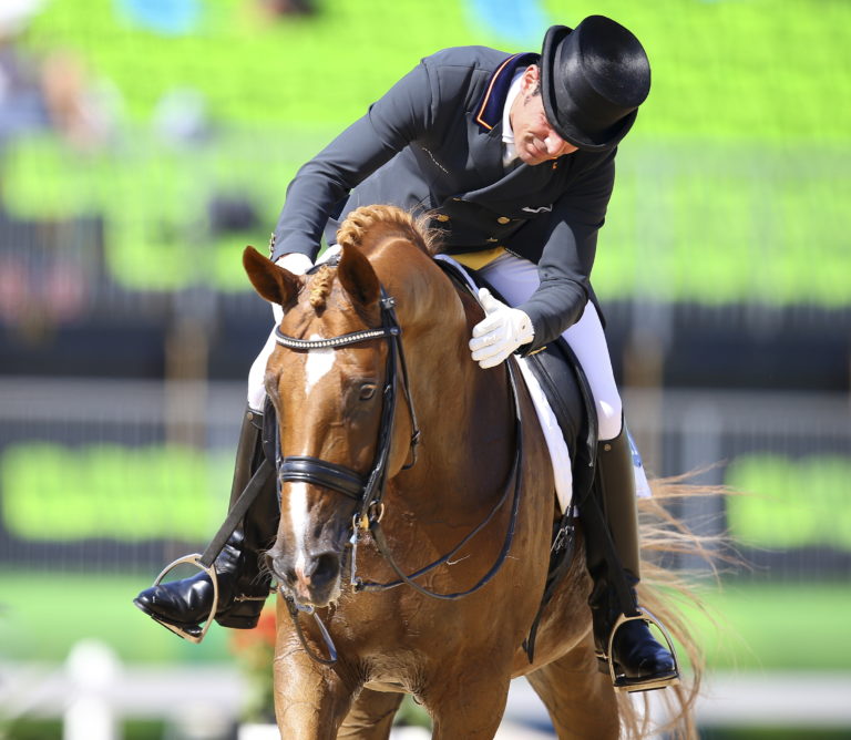 bavarian warmblood lorenzo arnd bronkhorst
