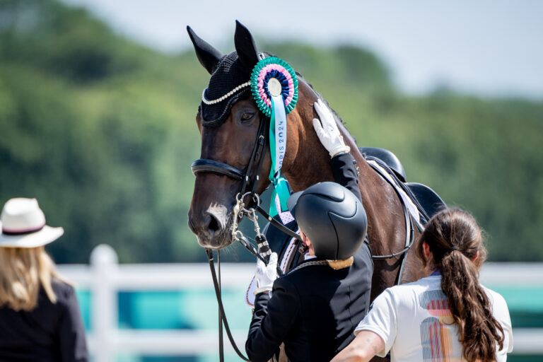 bredowPoly24brinkman8-4d1-2337