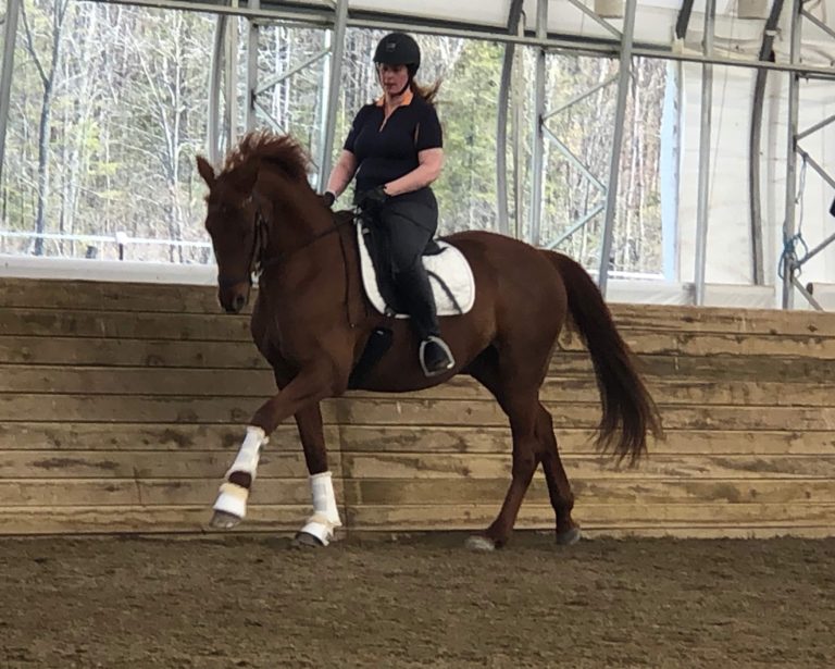 carolyn healy and gemini 2