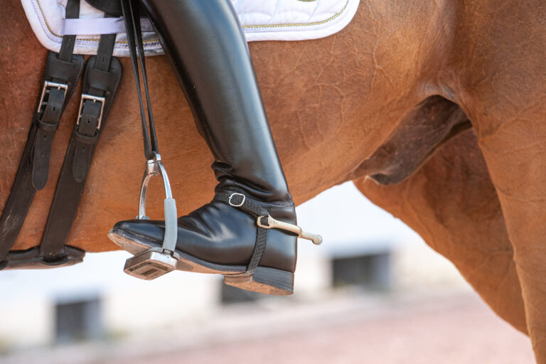 GERMichael KlimkeHarmony's Royal Dancer