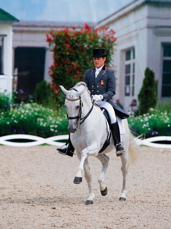 DT-01-baroque-horse-forwardness