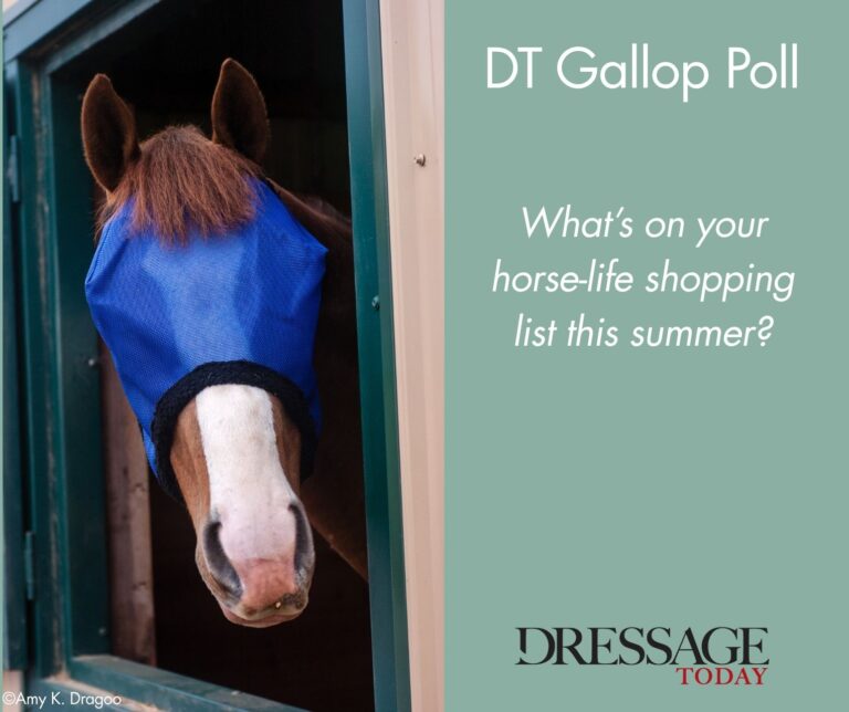 DT Gallop Poll_ Summer Shopping