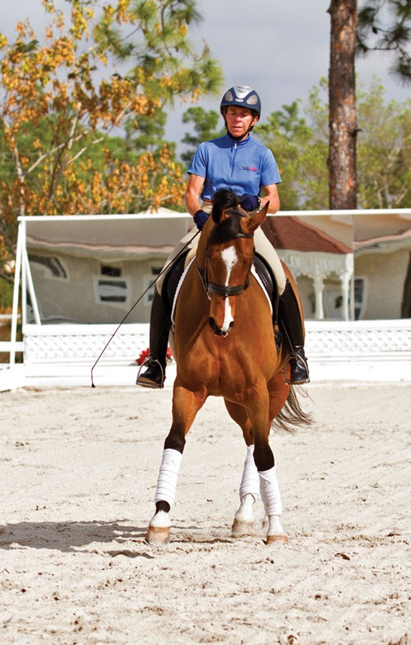 DT-suppleness-left-rein-kehr-01