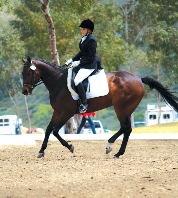 DTMP-110800-CLINIC-03-baydressage