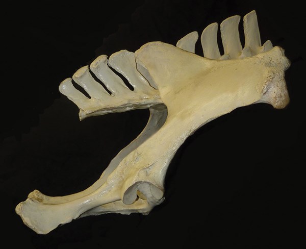 DTMP-130100-CLAYTON-01