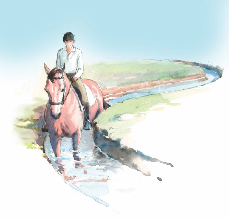 DTMP-141000-SOLUTIO-01 copy