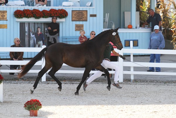 DTMP-150200-BEAUTY-01