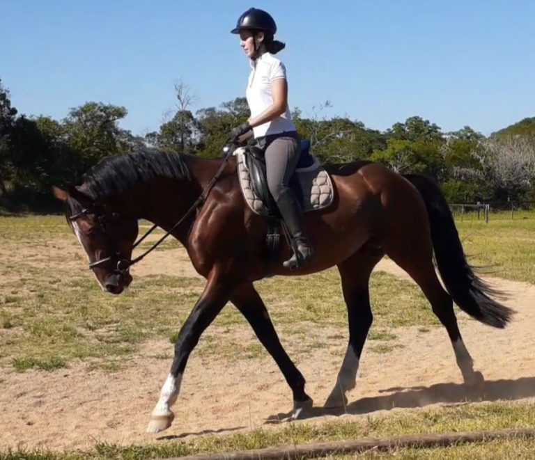 elisa muller alpha armani