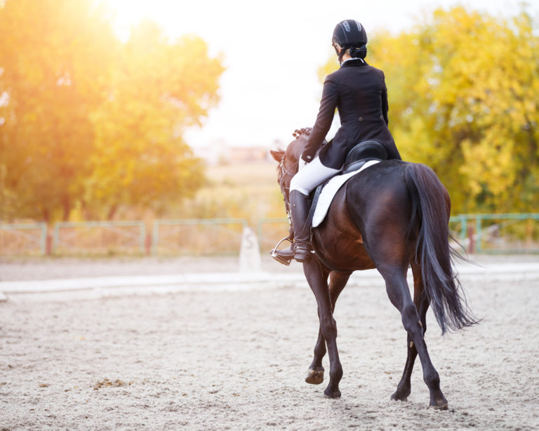 emotional agility dressage rider