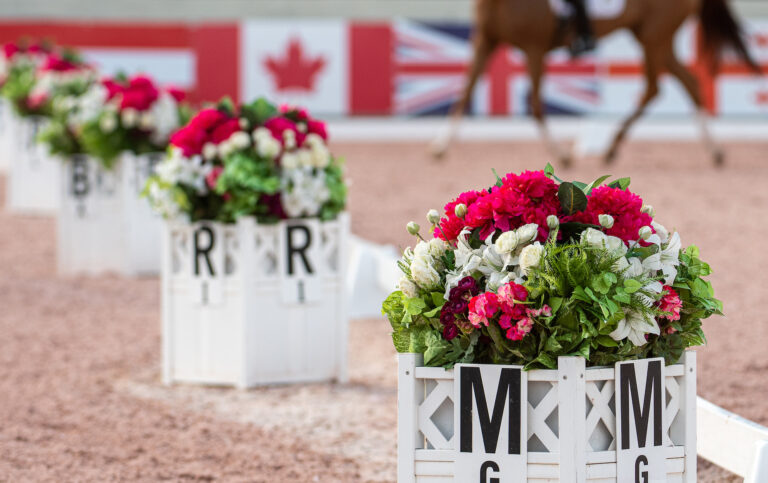 GERMichael KlimkeHarmony's Royal Dancer