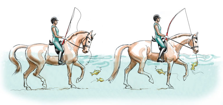 fishing line dressage solutions