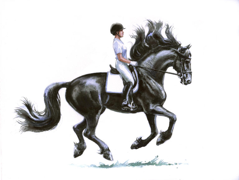 Friesan Mane Solutions