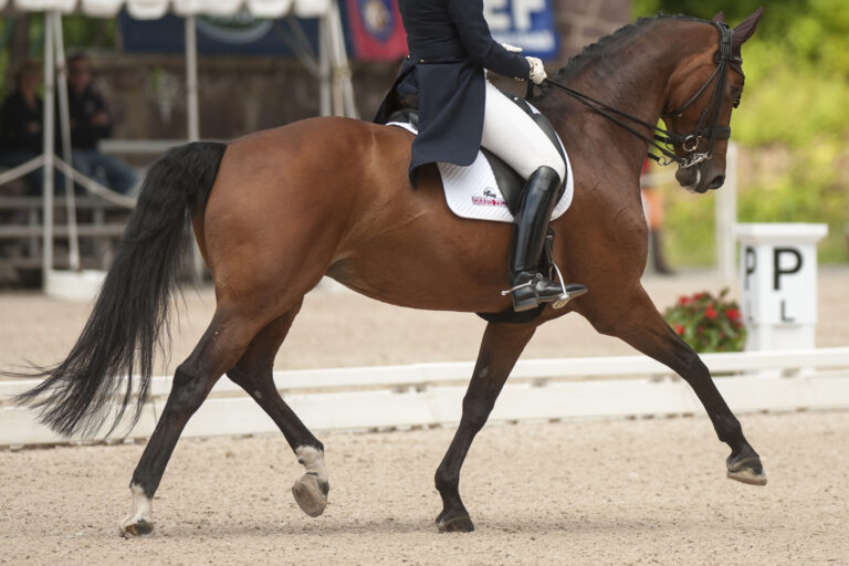 Kathleen RaineBreanna