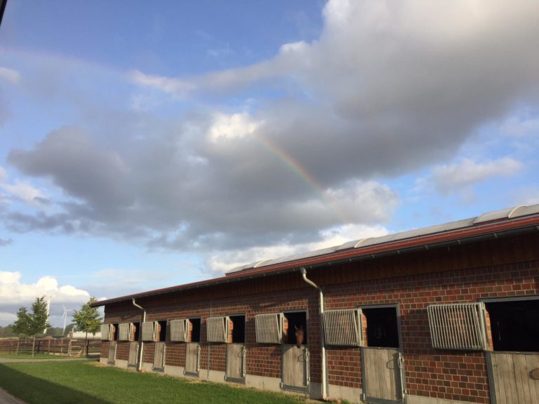 griffin denham team langehanenberg