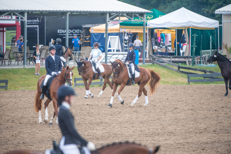 help your horse recover