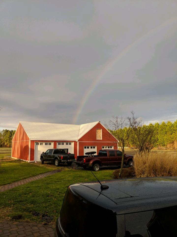 kelly mcginn dressage farm 1