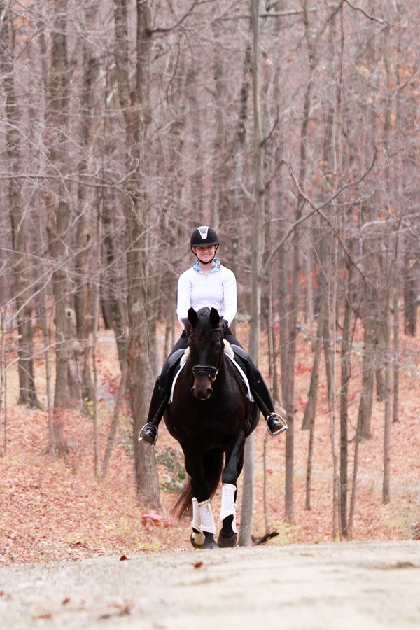 lilly simons dressage horse rehabilitation