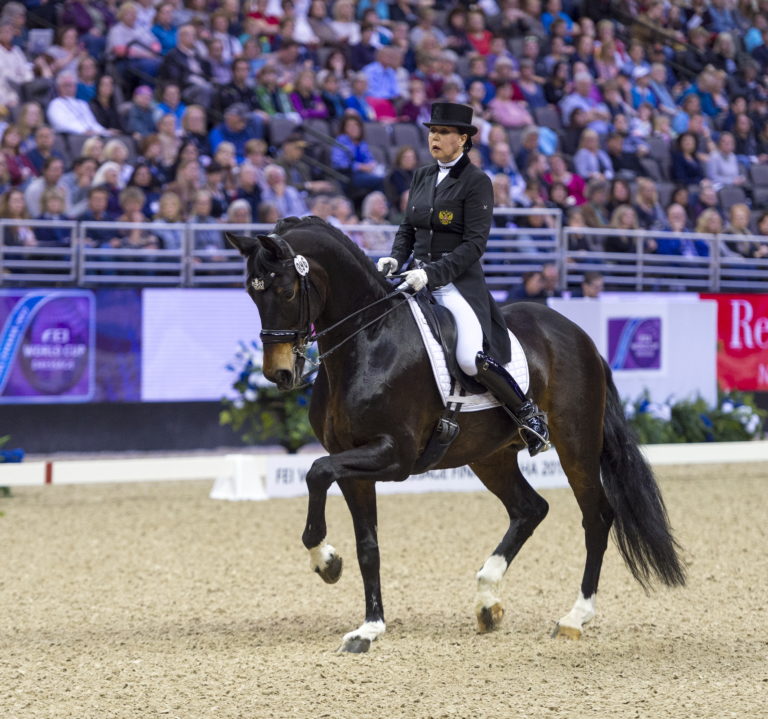 mister x russian trakehner arnd bronkhorst