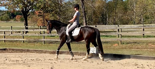 pam stone lucas medium walk