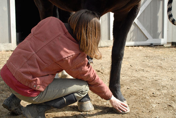 Photo by Dusty Perin