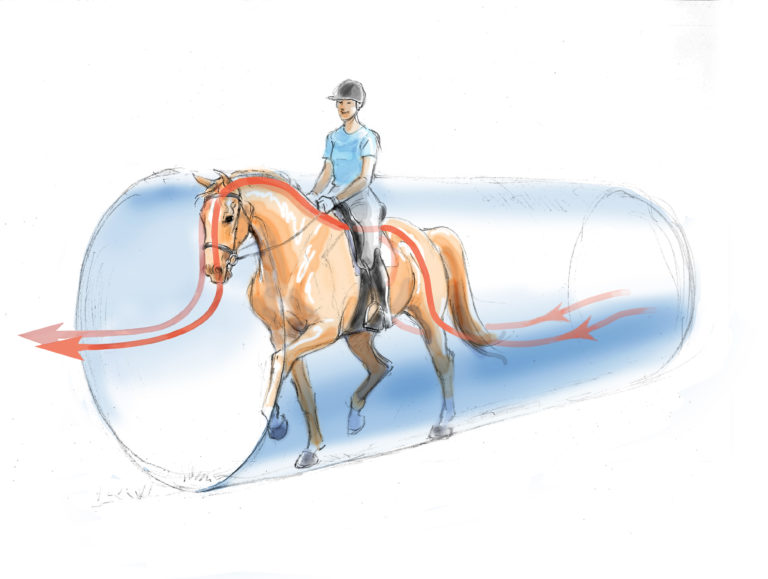 PHSolutions_Summer21