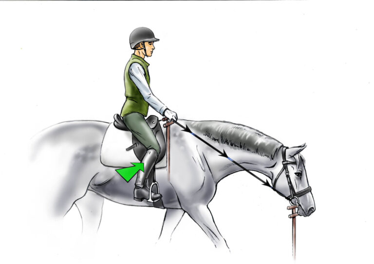 Solutions for Winter 2024-2025