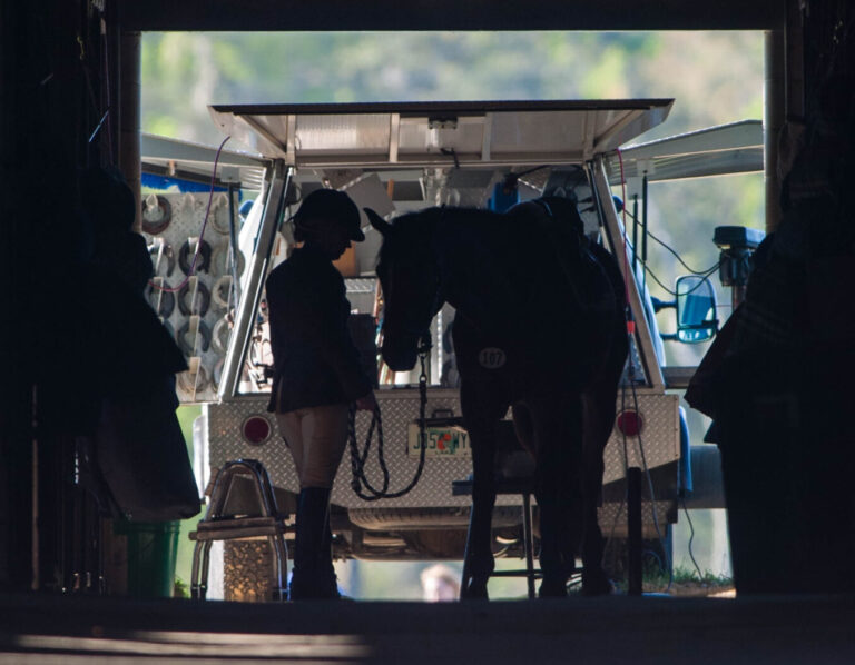 STK-07-0317-C1C1-015