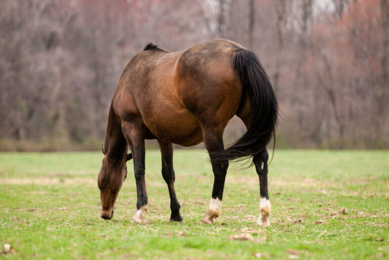 STK-10-0325-C5C1-071-scaled