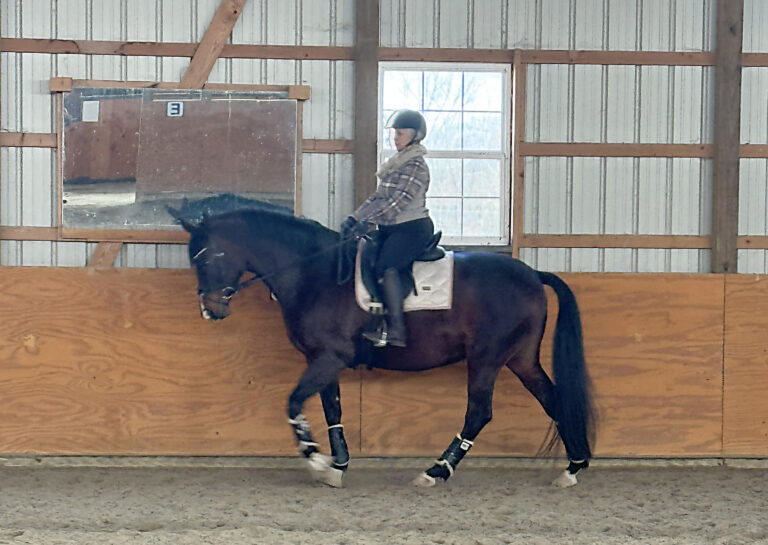 SusanneClinic_Kelli Will copy