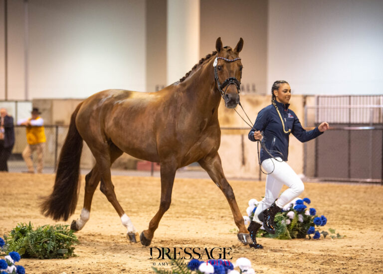 Anna Buffini (USA)FRH Davinia la DouceHanoverian