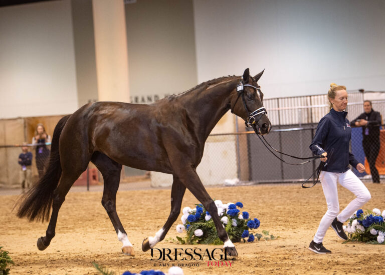 Alice Tarjan (USA)Serenade MFHanoverian