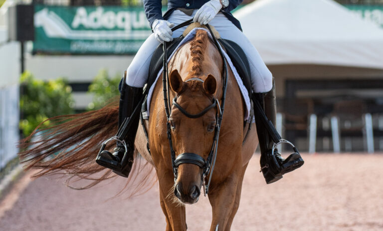 JPNKazuki SadoBarolo