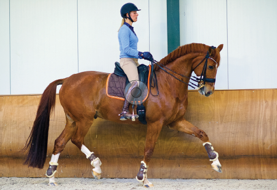 Copyright, Arnd Bronkhorst - Arnd