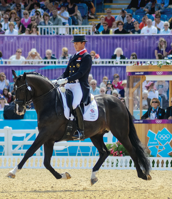 DT-01-elite-dressage-style-shadbelly