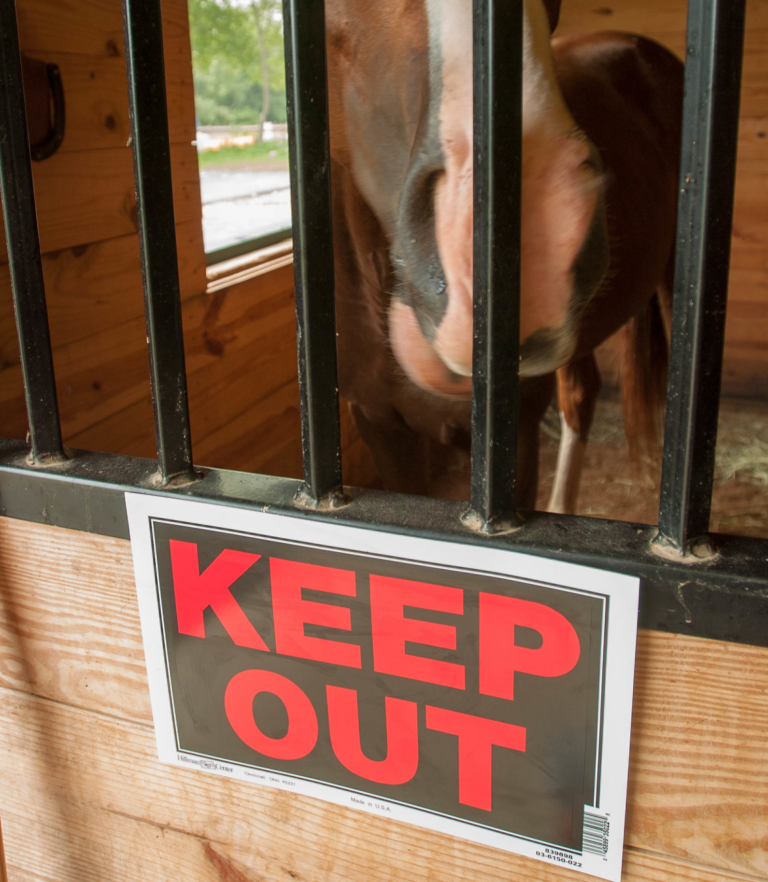 EDCC_FeaturedImage_Crop