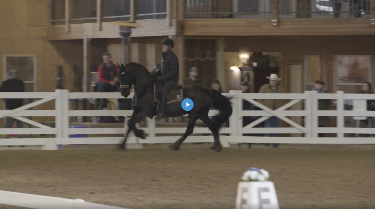 Screen-Shot-2022-05-12-at-3.14