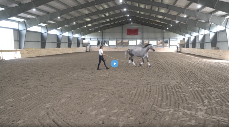 Screen-Shot-2022-05-23-at-1.44