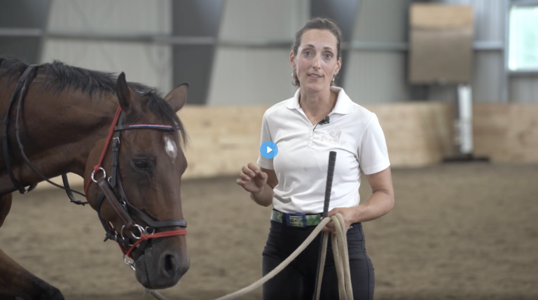 Screen-Shot-2022-05-23-at-1.47